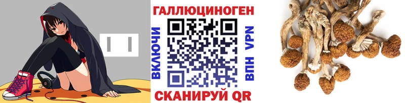 дарнет шоп  Жуковка  ссылка на мегу сайт  Псилоцибиновые грибы Cubensis 